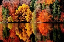 Landscape photography nature fall reflection lake forest Custom Gaming Mat Desk picture