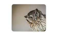 Yellow Eyed Owl Wild Bird Mouse Mat Pad -The Great Gray Owl Art Gift #16919 picture