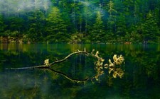 Landscape nature oregon lake mist forest green water Custom Gaming Mat Desk picture