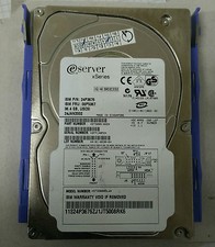 IBM xSERIES eSERVER 24P3676 06P5367 36.4GB 68-PIN 10K 3.5