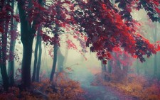 Landscape nature path mist trees fall shrubs forest Custom Gaming Mat Desk picture
