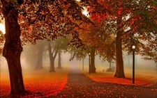 Landscape fall park leaves trees lantern Custom Gaming Mat Desk picture