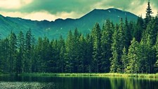 Landscape forest mountains nature Custom Gaming Mat Desk picture