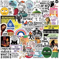 Funny Adult Meme Stickers Bulk 50 PCS Snarky Prank Laptop Decals picture