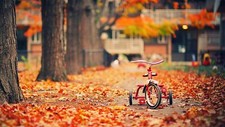 Landscape trees fall leaves vehicle outdoors Custom Gaming Mat Desk picture