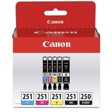 Canon 250 251 Ink Cartridge PGI250 CLI251 Set of 5 NEW OEM Genuine Setup No Box picture
