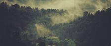 Landscape forest mist Custom Gaming Mat Desk picture