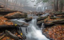 Landscape morning mist waterfall leaves forest Custom Gaming Mat Desk picture