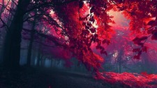 Landscape nature fall leaves forest plants Custom Gaming Mat Desk picture