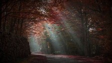 Landscape forest trees fall Custom Gaming Mat Desk picture