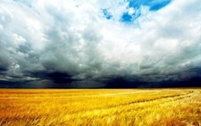 Landscape field agro sky clouds Custom Gaming Mat Desk picture