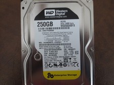 Western Digital RE4 WD2503ABYX-01WERA1 DCM:HGRCKTJCG 250gb 3.5