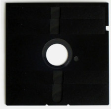 DS/DD 5.25 Floppy Disks.  New 10 Pack.  DISKETTE SLEEVES INCLUDED picture
