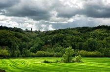 Landscape forest italy field green Custom Gaming Mat Desk picture