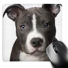 3dRose, American Pit Bull Terrier Puppy, Mouse Pad picture