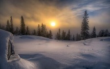 Landscape nature winter snow forest frost sun mist pine Custom Gaming Mat Desk picture