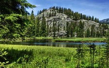 Landscape r nature trees Custom Gaming Mat Desk picture
