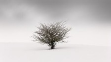 Landscape nature minimalism trees winter snow mist Custom Gaming Mat Desk picture