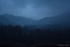 Landscape forest dark trees Custom Gaming Mat Desk picture