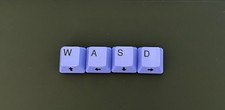 Topre Realforce HHKB OEM Purple Lavender WASD Keycaps picture