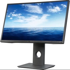 Dell Professional Series P2417H 24