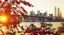 Landscape fall city new york sunlight bridge leaves Custom Gaming Mat Desk picture