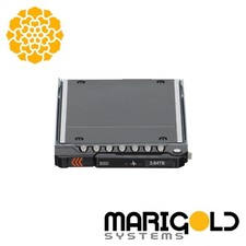 Dell 3.84TB PCIe Gen5 NVMe RI TLC E3.S SSD 831H5 0831H5 picture