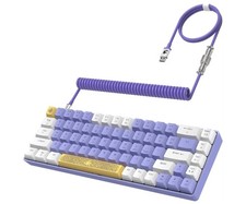 ZIYOU LANG RK-T8 Wired  Mechanical Gaming Keyboard with RGB (Purple) picture