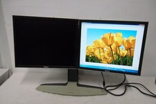 Dell 1908FP 19
