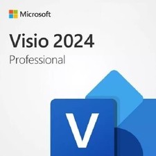 Microsoft Visio Professional 2024 for Windows picture