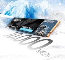 KIOXIA VD10 2TB pcie5.0 nvme m2 SSD picture