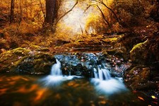 Landscape forest river creeks fall wilderness long Custom Gaming Mat Desk picture