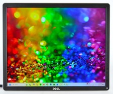 Dell P1914S 19