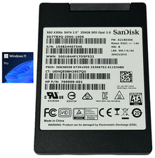 SanDisk 256GB 2.5