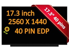 240hz Display for MSI Raider GE76 MS-17K4 17.3