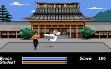 IBM PC Video Game 1989 BRUCE LEE LIVES 5.25 Floppy Disks VERY RARE W/ Manual picture