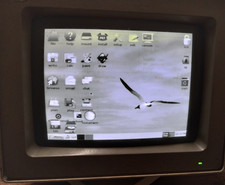 Vintage IBM Personal System/2 Monochrome Display 8503 CRT Works Retro Read picture