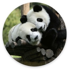 Mouse Pad, Panda Bears Mouse Pad, Washable Round Cloth Mousepad for Gaming Of... picture