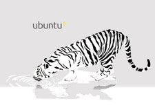 Dell 7490 Laptop Ubuntu Linux 8th Gen i5-8350U 16GB 480GB SSD  (5 Year Warranty) picture