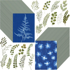 60 PCS Cyanotype Sun Print Kit, A5 Sensitive Solar Art Paper Kit with 20 Pcs Lea picture