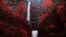 Landscape trees fall bridge mountains plants rocks water Custom Gaming Mat Desk picture