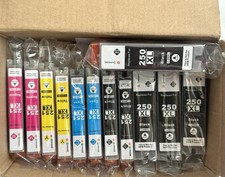 12 Pieces 250XL Ink Cartridge, 6 Black, 2 Cyan, 2 Magenta, 2 Yellow, picture