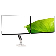 Dual Dell Professional P2217H 22