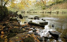 Landscape river rocks fallen leaves fall stones outdoors Custom Gaming Mat Desk picture