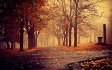 Landscape trees fall mist Custom Gaming Mat Desk picture