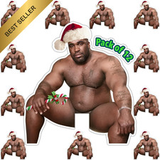 Barry Wood Christmas Stickers Waterproof Funny Meme Prank 12 Pack 3x3.4 Decals picture