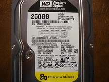Western Digital WD2503ABYX-01WERA1 DCM:HARCNTJCA 250gb 3.5