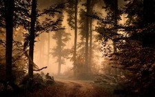 Landscape forest trees path mist fall dirt road Custom Gaming Mat Desk picture