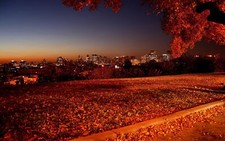 Landscape fall sunset cityscape fallen leaves city Custom Gaming Mat Desk picture