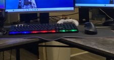 Periphio Gaming Keyboard and Mouse Combo picture